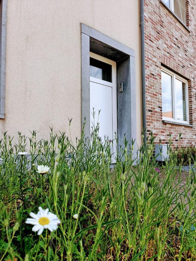 Casa Roman Zonhoven ภายนอก รูปภาพ